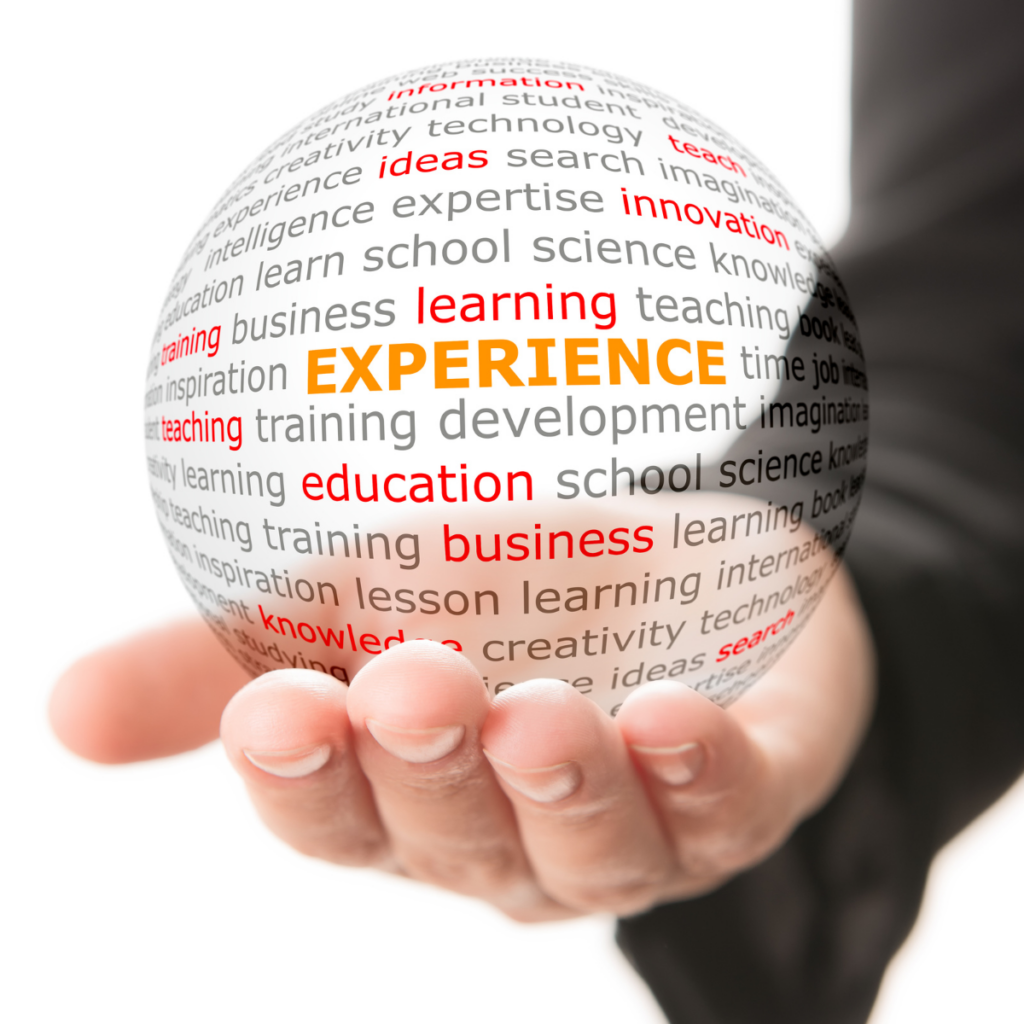 experiencia profissional